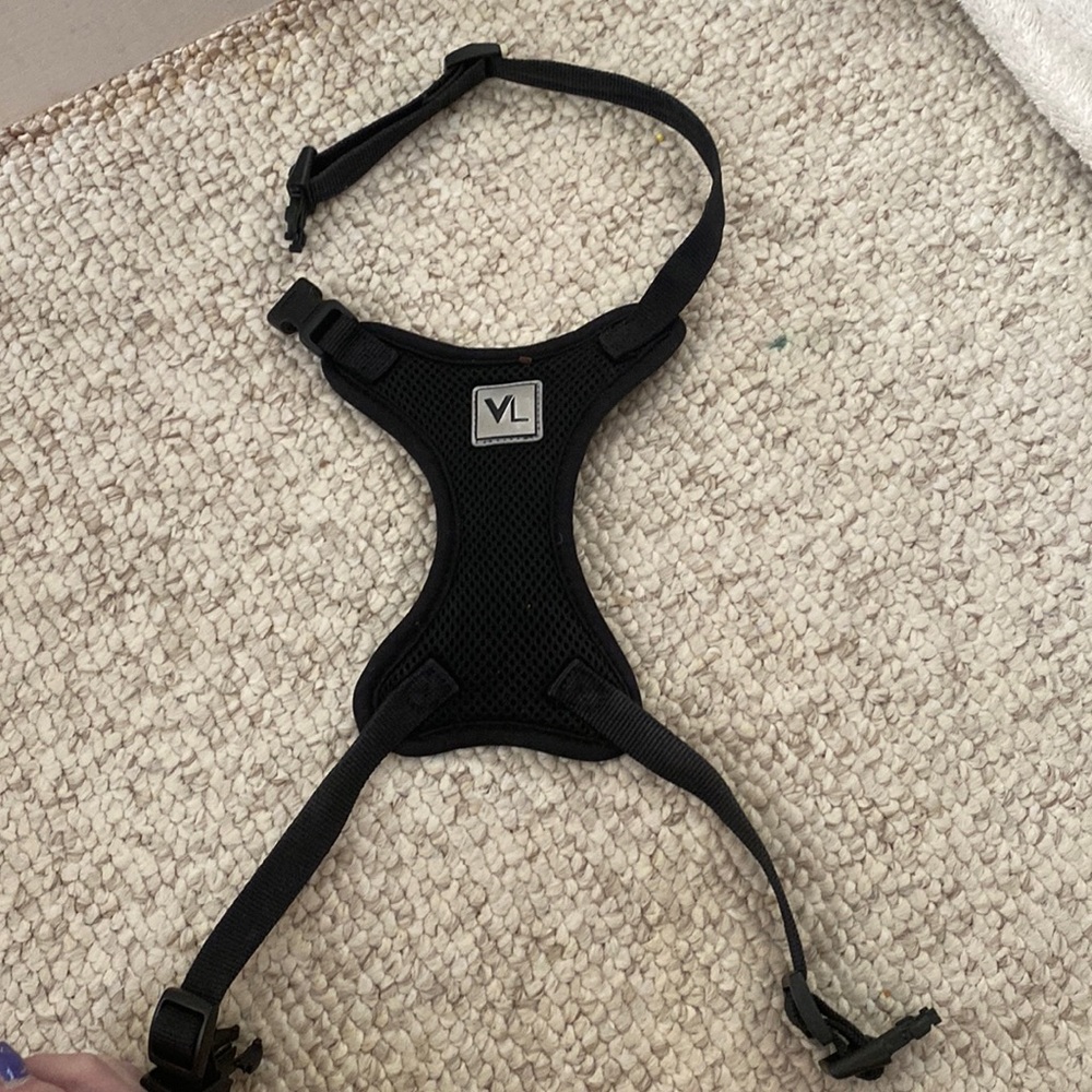Black, VL dog leash, harness